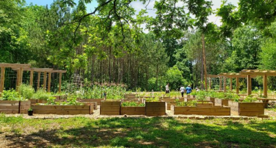 Food Forests: A Growing Urban-Conservation Connection?