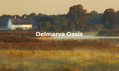 Delmarva Oasis: Protecting 50% by 2030