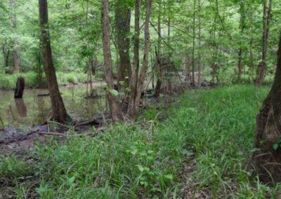 Appomattox River Fund