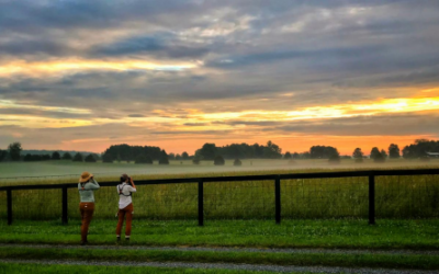 Smithsonian Grassroots Approach helps Biodiversity Bloom