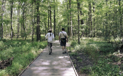 Preserving Harmony With Development: The Tale of Leopold’s Preserve